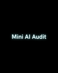 Mini AI Audit