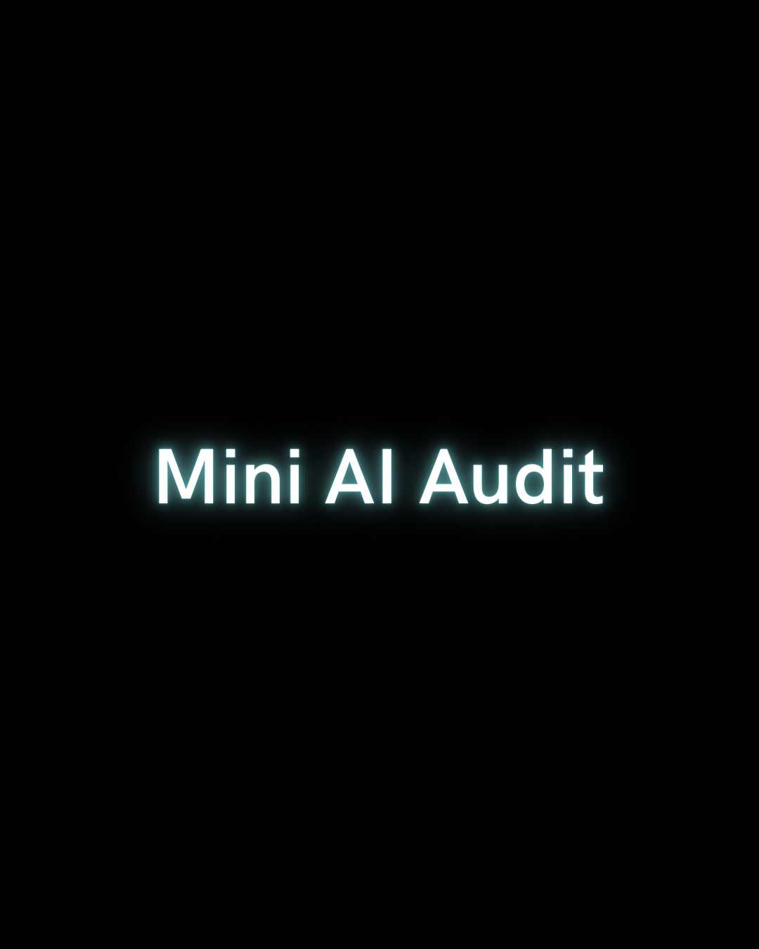 Mini AI Audit